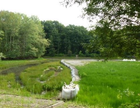 Polder Friedrichshulder See